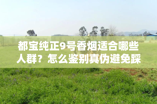 都宝纯正9号香烟适合哪些人群？怎么鉴别真伪避免踩坑？